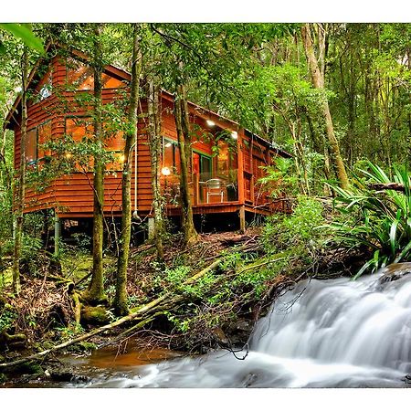 The Mouses House Rainforest Retreat Springbrook Exterior photo
