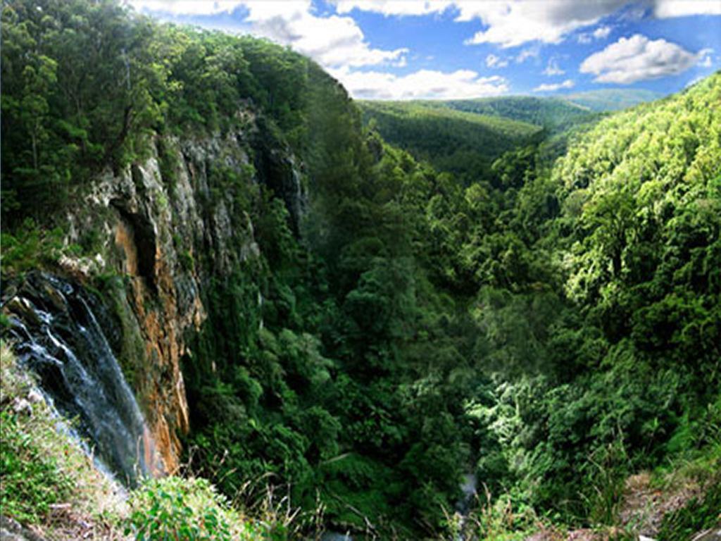 The Mouses House Rainforest Retreat Springbrook Exterior photo