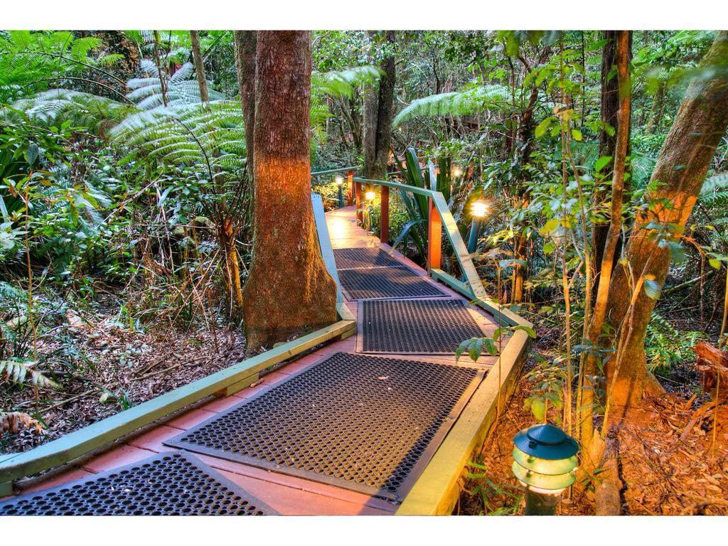 The Mouses House Rainforest Retreat Springbrook Exterior photo