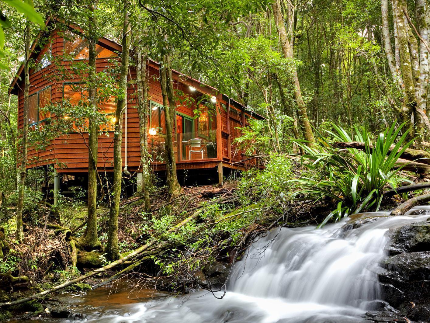 The Mouses House Rainforest Retreat Springbrook Exterior photo