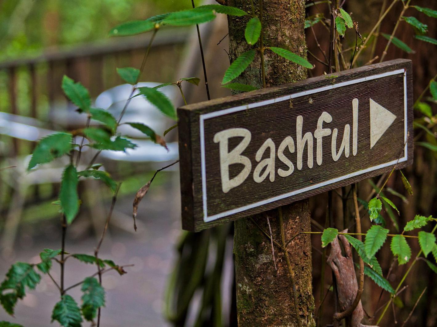 The Mouses House Rainforest Retreat Springbrook Exterior photo