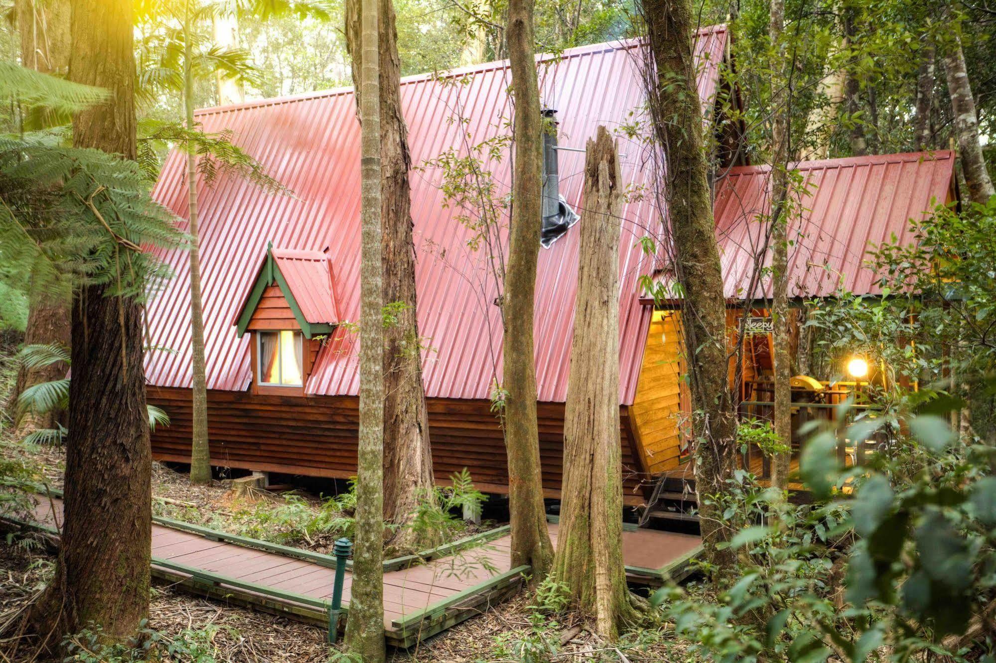 The Mouses House Rainforest Retreat Springbrook Exterior photo