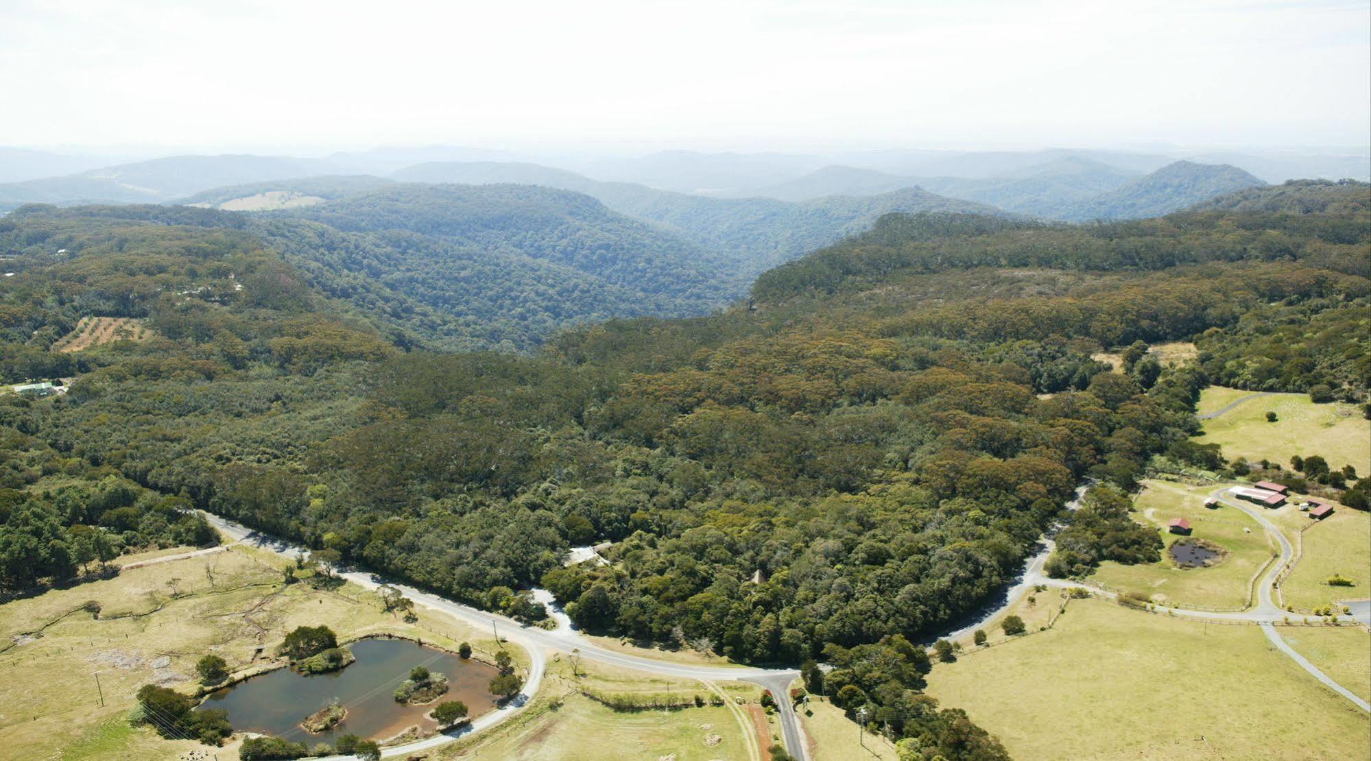 The Mouses House Rainforest Retreat Springbrook Exterior photo