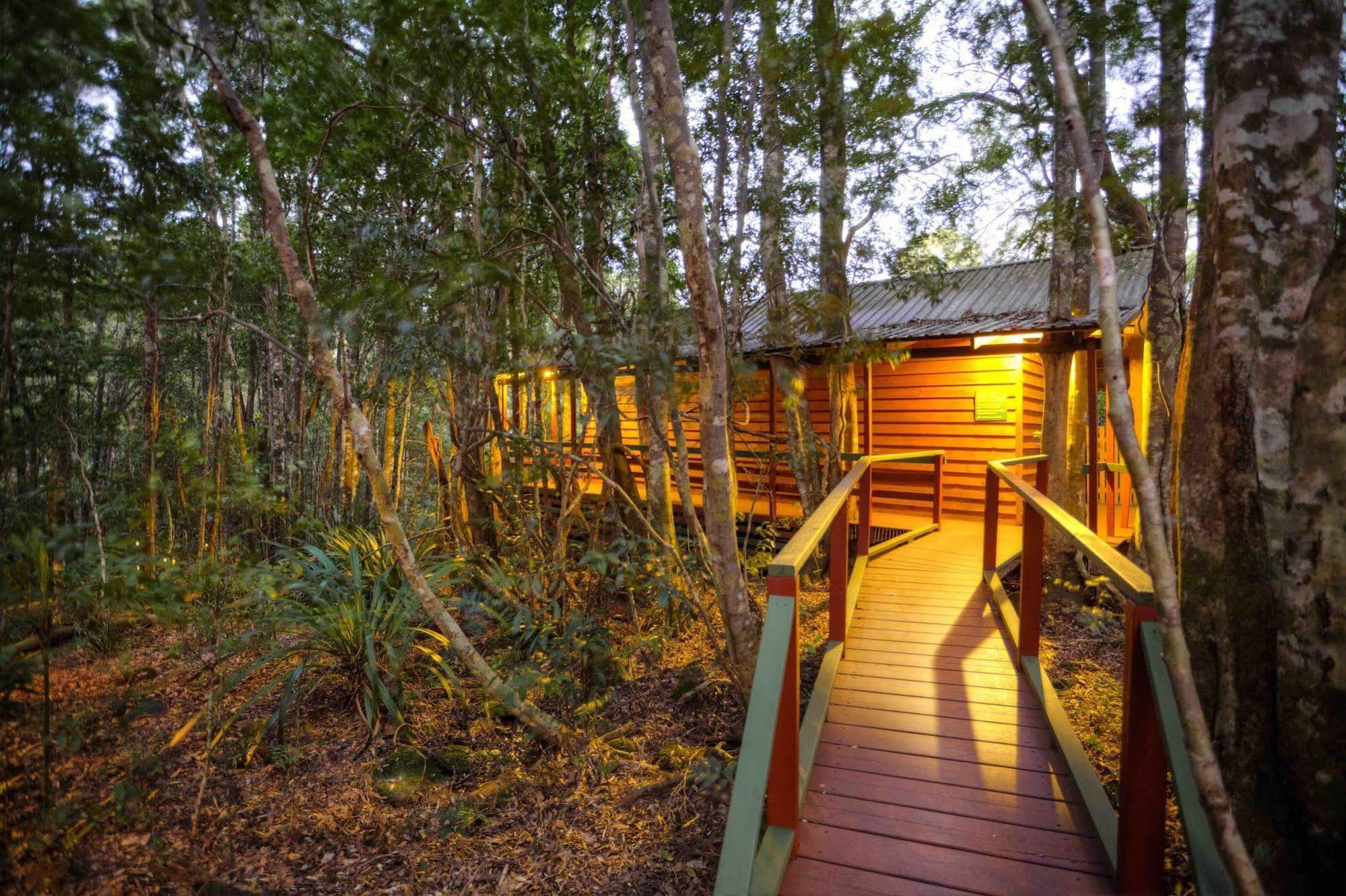 The Mouses House Rainforest Retreat Springbrook Exterior photo